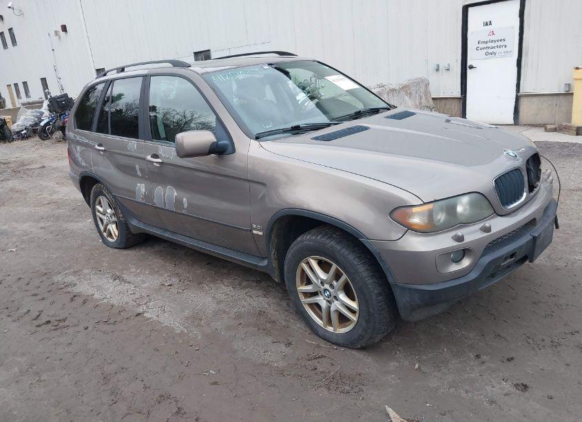 2004 Bmw X5 3.0I (VIN 5UXFA13574LU32060) main photo