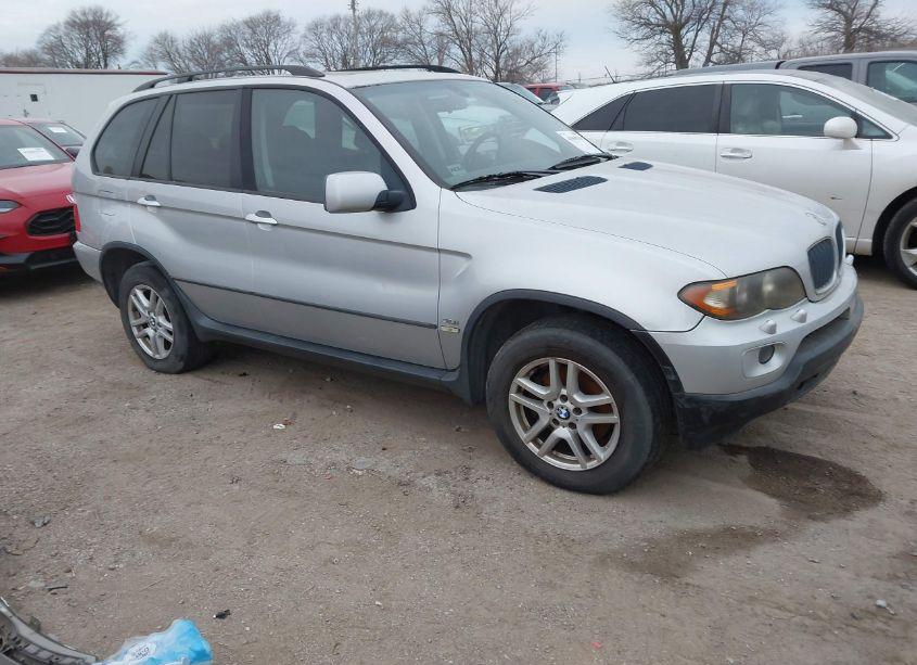 2005 Bmw X5 3.0I (VIN 5UXFA13575LU46705) main photo