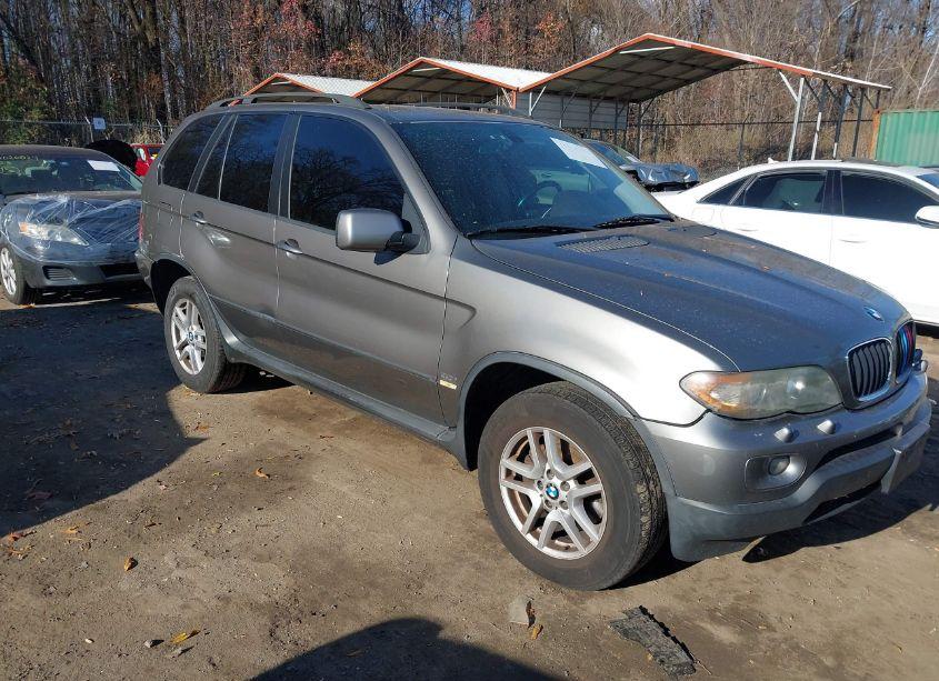 2006 Bmw X5 3.0I (VIN 5UXFA13576LY24460) main photo