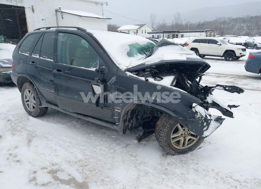 2006 Bmw X5 3.0I (VIN 5UXFA13596LY41616) main photo