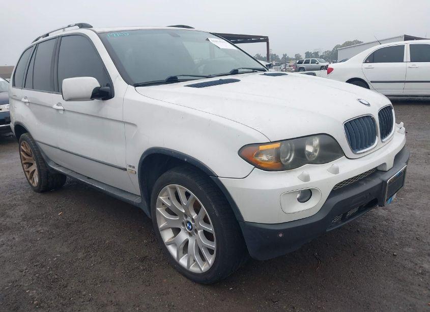 2005 Bmw X5 3.0I (VIN 5UXFA135X5LY20028) main photo