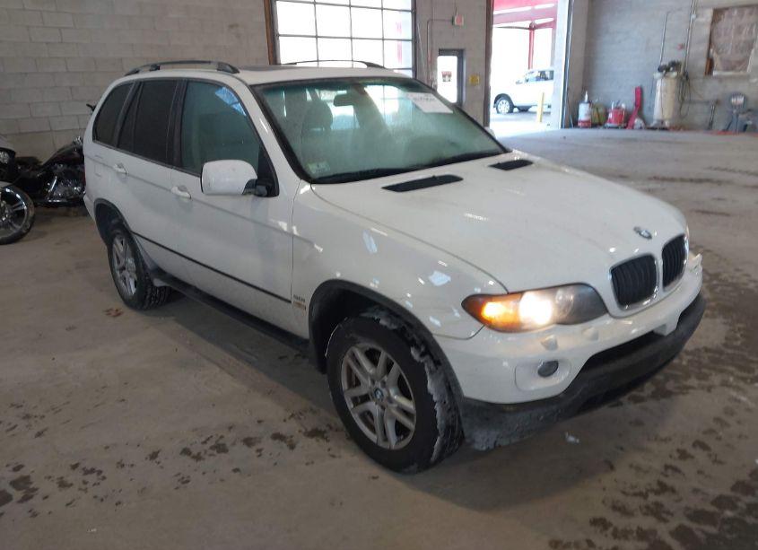 2006 Bmw X5 3.0I (VIN 5UXFA135X6LY31337) main photo