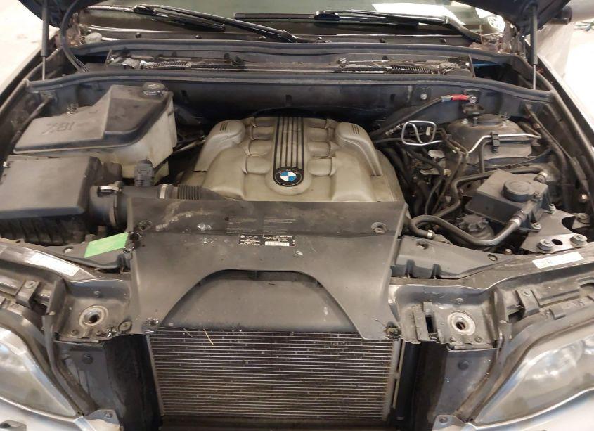 Photo 10 of 2005 Bmw X5 4.4I (VIN 5UXFB53525LV18818)