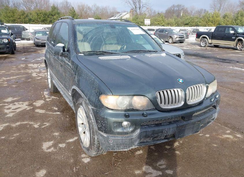 2006 Bmw X5 4.4I (VIN 5UXFB53526LV26337) main photo
