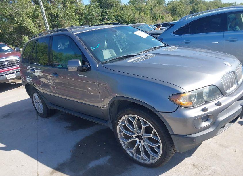 2006 Bmw X5 4.4I (VIN 5UXFB53556LV26316) main photo