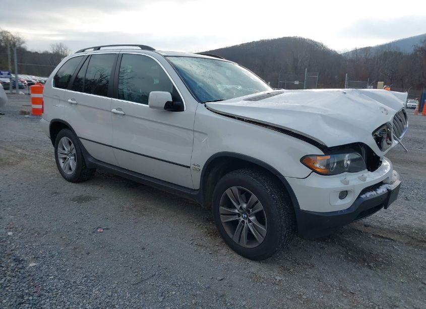 2006 Bmw X5 4.4I (VIN 5UXFB53576LV25930) main photo