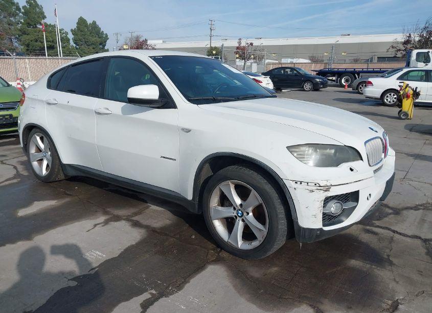 2009 Bmw X6 XDRIVE50I (VIN 5UXFG83519LZ93496) main photo
