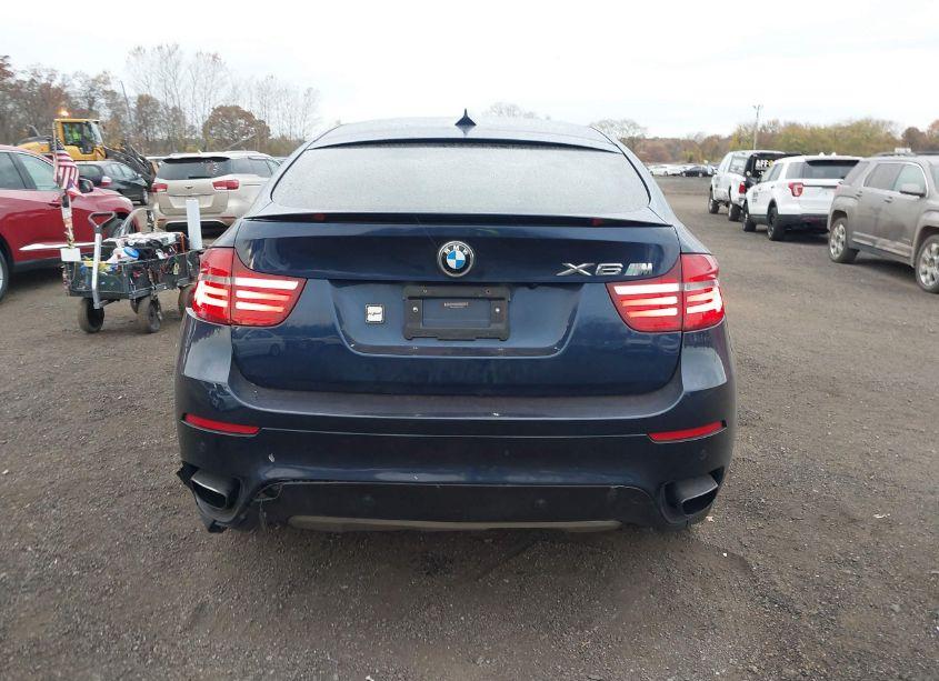 Photo 16 of 2013 Bmw X6 XDRIVE50I (VIN 5UXFG8C59DL591198)