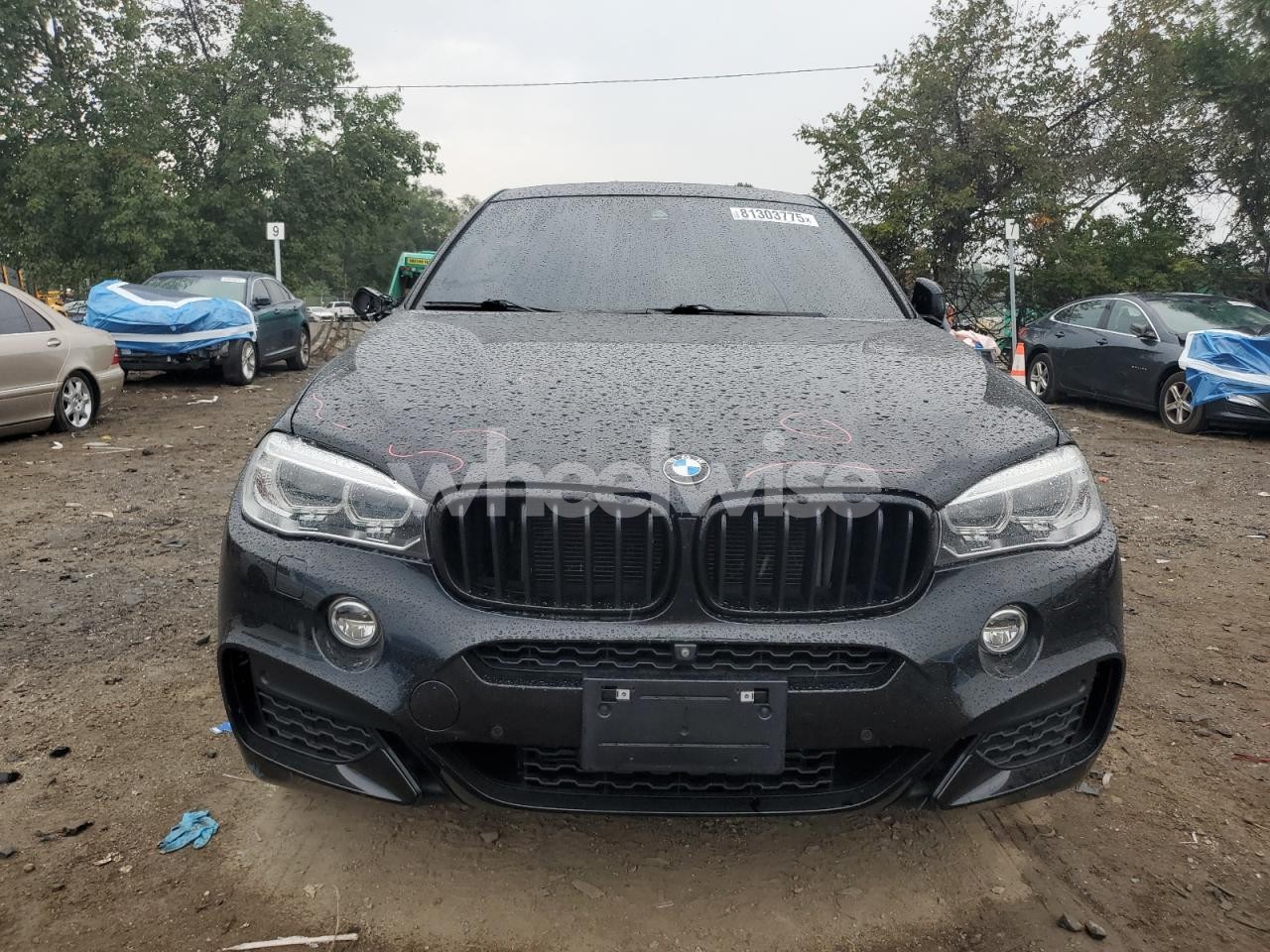 Photo 5 of 2017 BMW X6 XDRIVE35I (VIN 5UXKU2C37H0U29340)