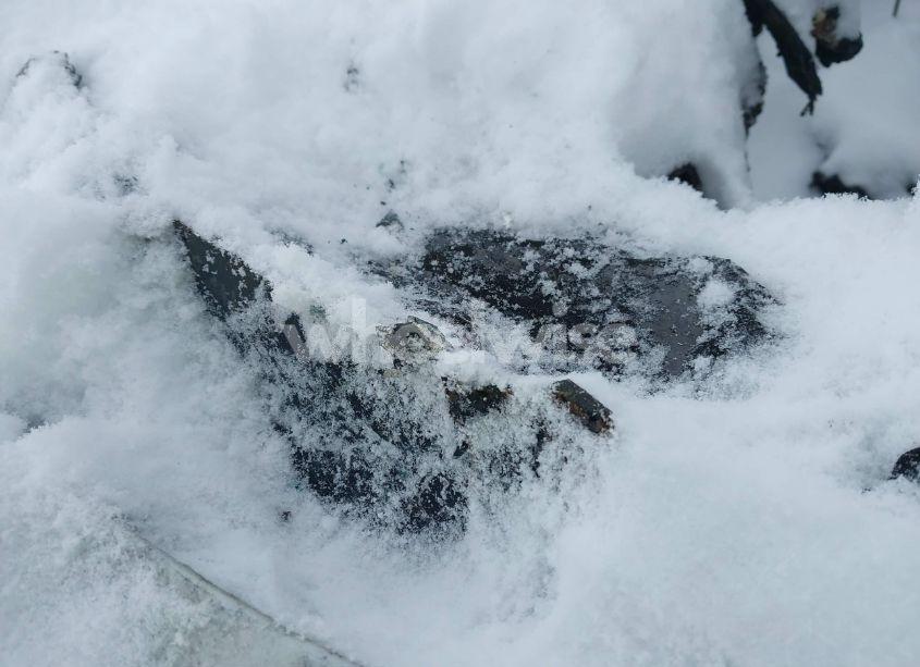 Photo 9 of 2017 Bmw X6 XDRIVE35I (VIN 5UXKU2C53H0N84615)