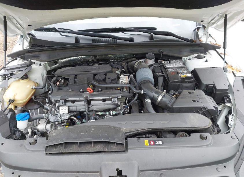 Photo 10 of 2023 Kia K5 LXS (VIN 5XXG14J21PG192542)