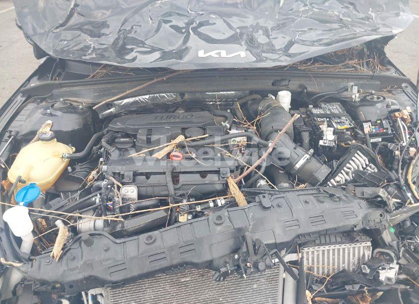 Photo 10 of 2024 Kia K5 GT-LINE (VIN 5XXG64J22RG257080)