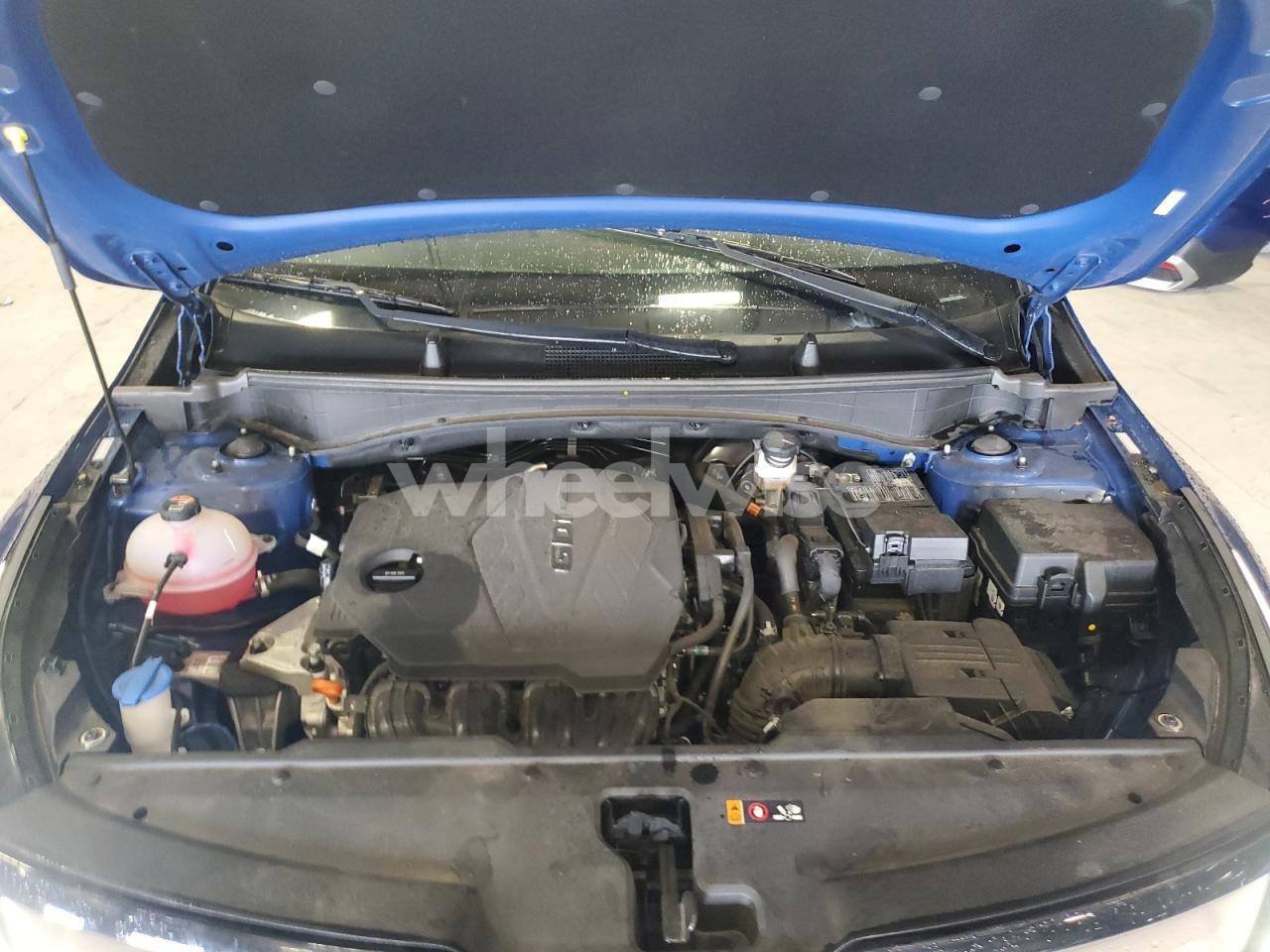 Photo 12 of 2024 KIA SPORTAGE EX (VIN 5XXG64J24MG042700)