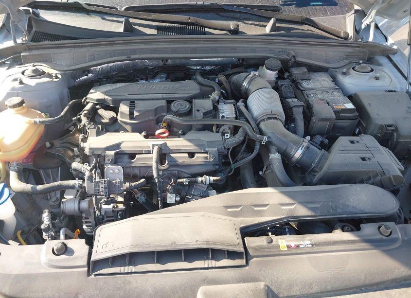 Photo 10 of 2024 Kia K5 GT-LINE (VIN 5XXG64J25RG229497)