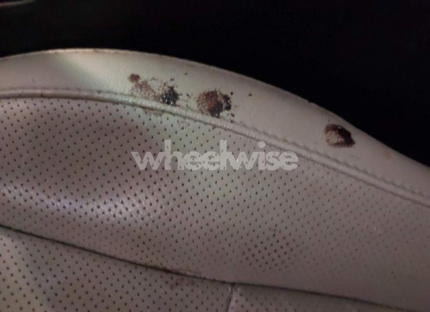 Photo 14 of 2014 Kia Optima EX (VIN 5XXGN4A73EG268436)