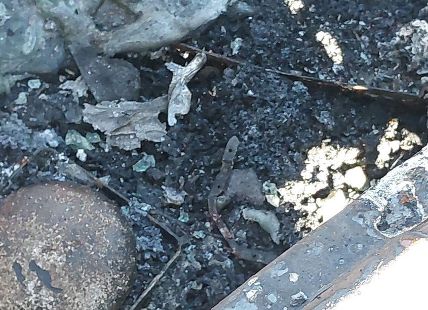 Photo 11 of 2018 Kia Optima LX (VIN 5XXGT4L39JG264059)