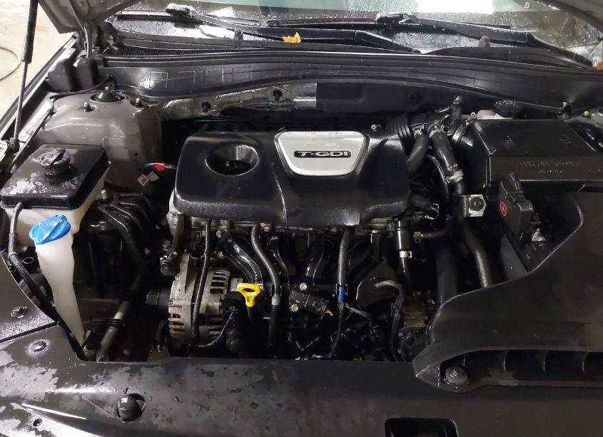 Photo 10 of 2019 Kia Optima EX (VIN 5XXGU4L17KG311618)