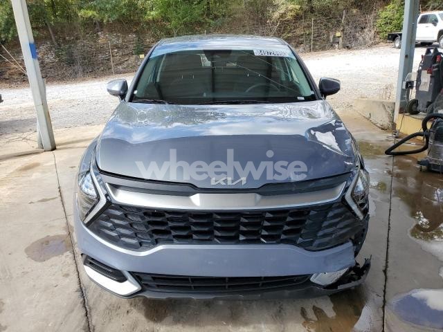 Photo 11 of 2025 KIA SPORTAGE LX (VIN 5XYK23DF3SG315116)