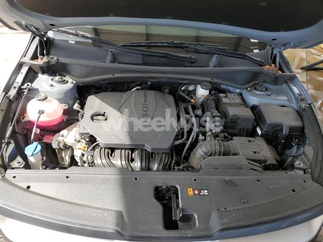 Photo 12 of 2025 KIA SPORTAGE LX (VIN 5XYK23DF3SG315116)