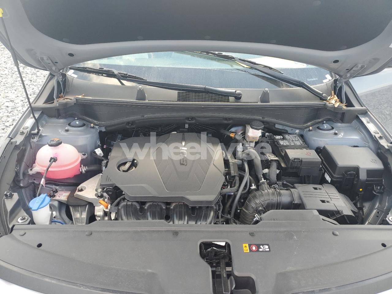 Photo 11 of 2025 KIA SPORTAGE LX (VIN 5XYK23DF6SG317345)