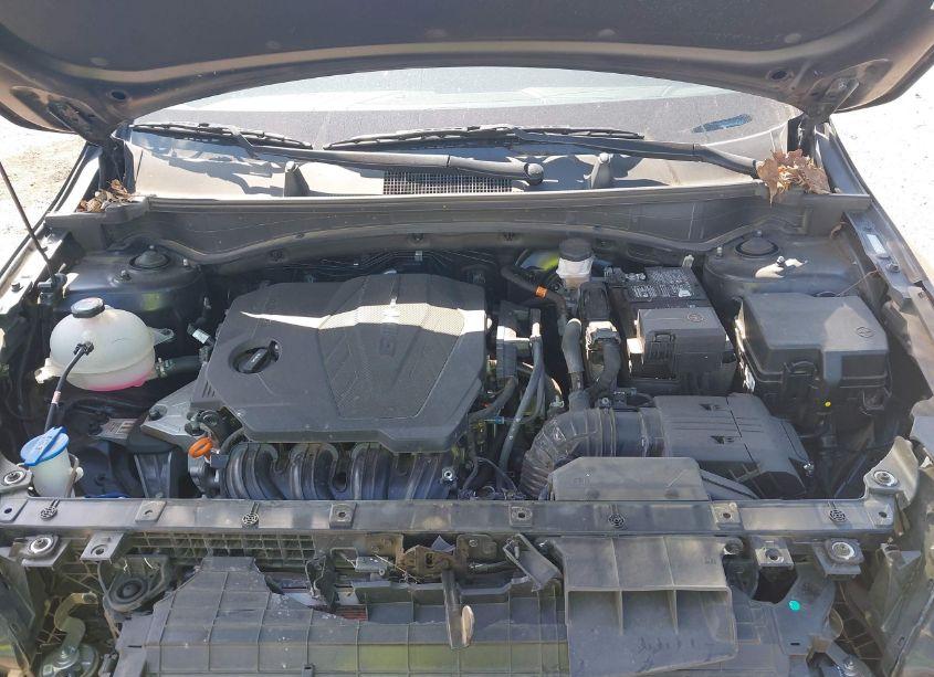 Photo 10 of 2023 Kia Sportage EX (VIN 5XYK33AF0PG040958)