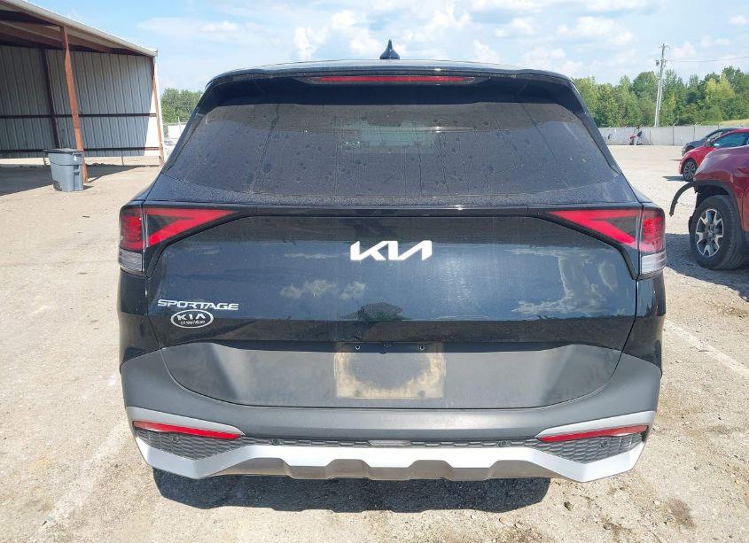 Photo 17 of 2023 Kia Sportage EX (VIN 5XYK33AF0PG040958)