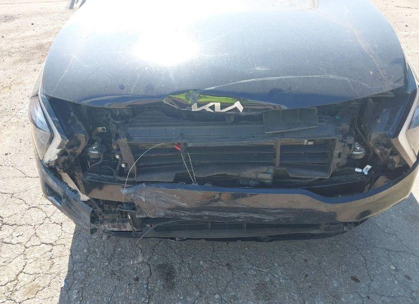 Photo 6 of 2023 Kia Sportage EX (VIN 5XYK33AF0PG040958)