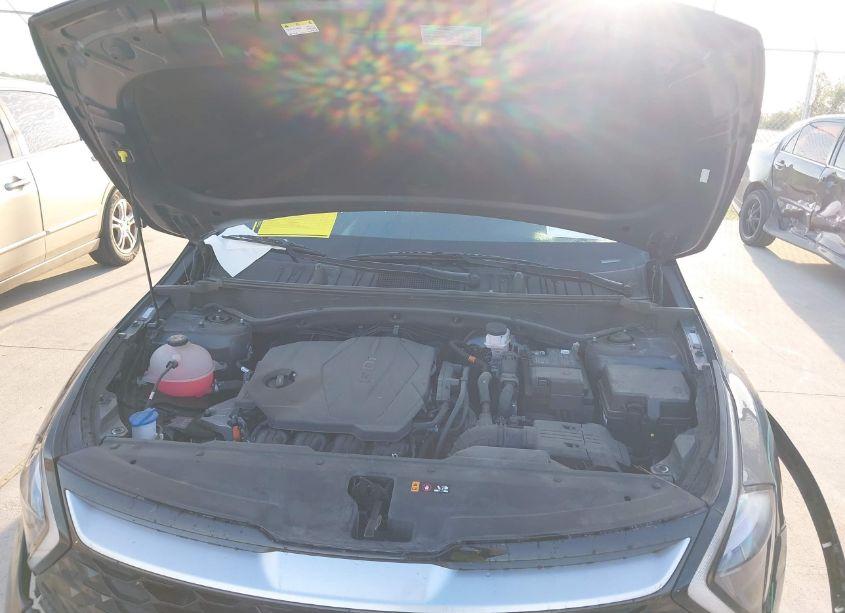 Photo 10 of 2023 Kia Sportage EX (VIN 5XYK33AF0PG134192)
