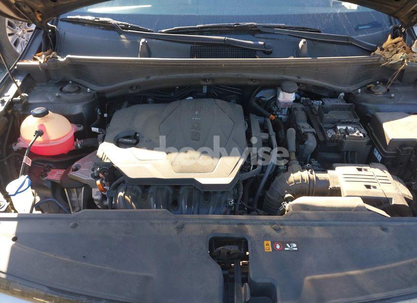 Photo 10 of 2023 Kia Sportage EX (VIN 5XYK33AF1PG091627)