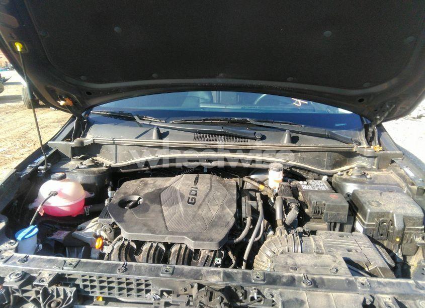 Photo 10 of 2023 Kia Sportage EX (VIN 5XYK33AF1PG101475)