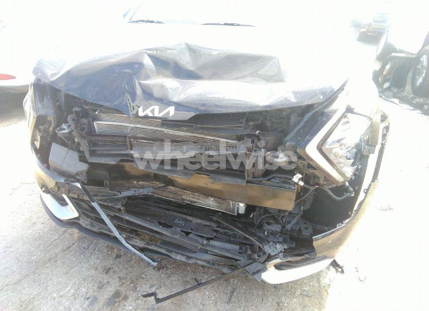 Photo 6 of 2023 Kia Sportage EX (VIN 5XYK33AF2PG001157)