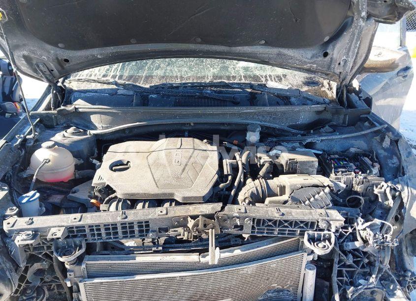 Photo 10 of 2023 Kia Sportage EX (VIN 5XYK33AF2PG037091)