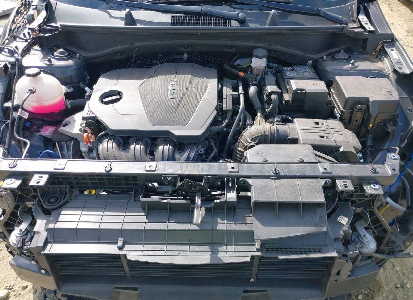 Photo 10 of 2023 Kia Sportage EX (VIN 5XYK33AF2PG091877)