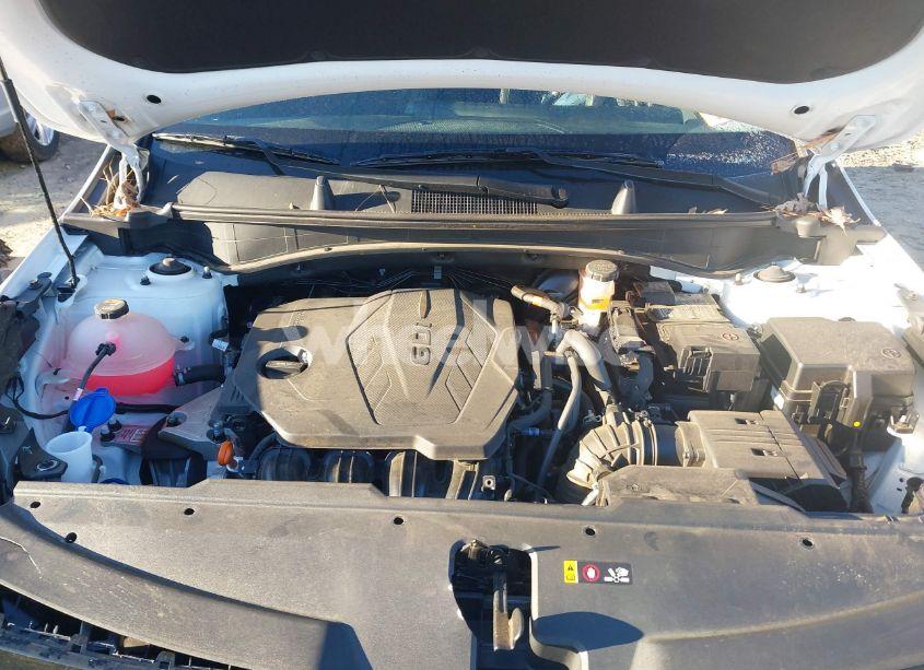 Photo 10 of 2023 Kia Sportage EX (VIN 5XYK33AF2PG102960)