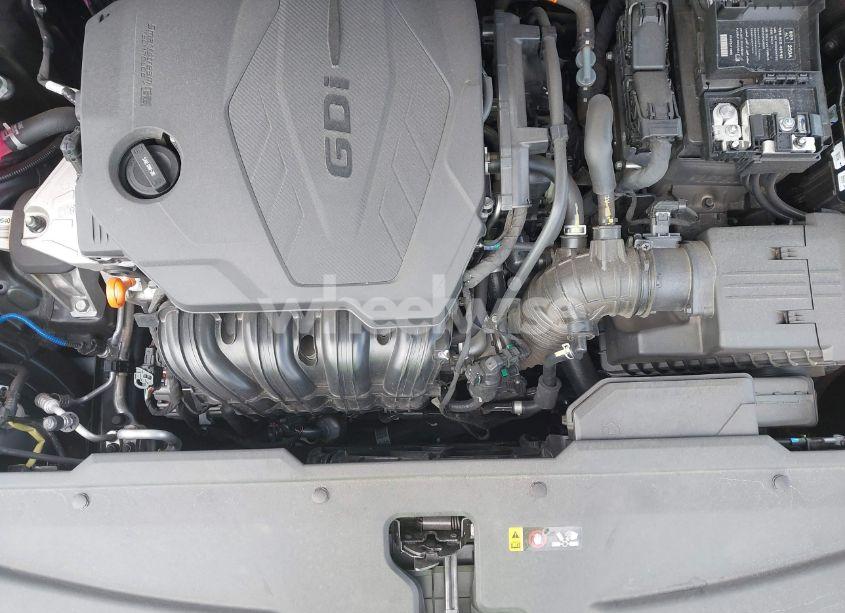 Photo 12 of 2023 Kia Sportage EX (VIN 5XYK33AF2PG137109)