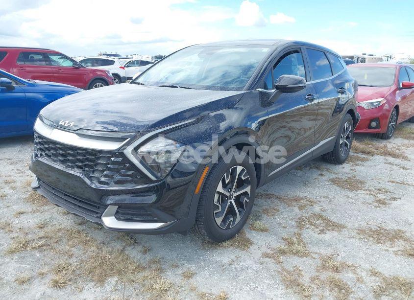 Photo 2 of 2023 Kia Sportage EX (VIN 5XYK33AF2PG137109)