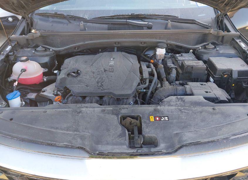 Photo 10 of 2023 Kia Sportage EX (VIN 5XYK33AF2PG138146)