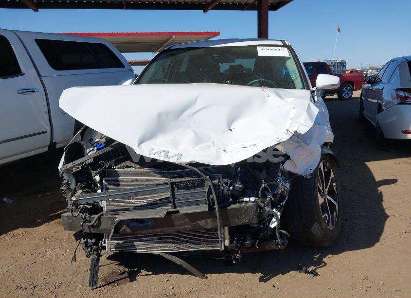 Photo 6 of 2023 Kia Sportage EX (VIN 5XYK33AF3PG005007)