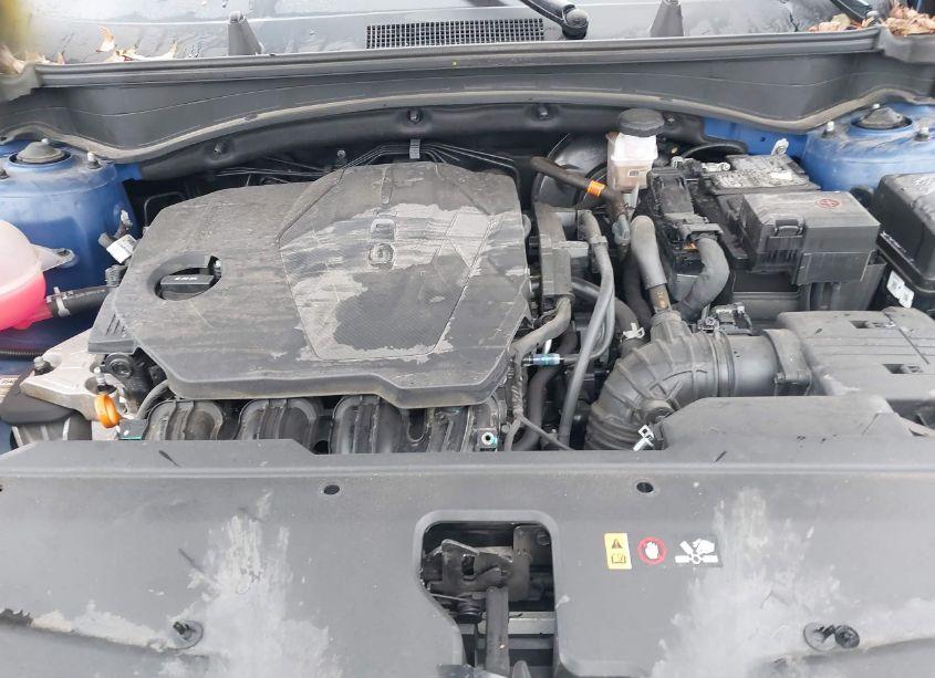 Photo 10 of 2023 Kia Sportage EX (VIN 5XYK33AF5PG057559)