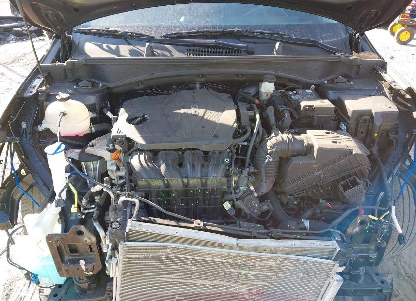 Photo 10 of 2023 Kia Sportage EX (VIN 5XYK33AF5PG058307)