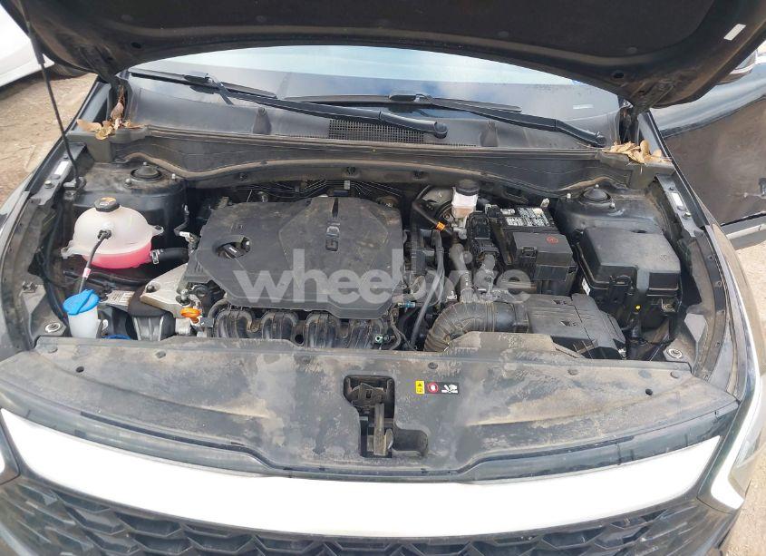 Photo 10 of 2023 Kia Sportage EX (VIN 5XYK33AF5PG061305)