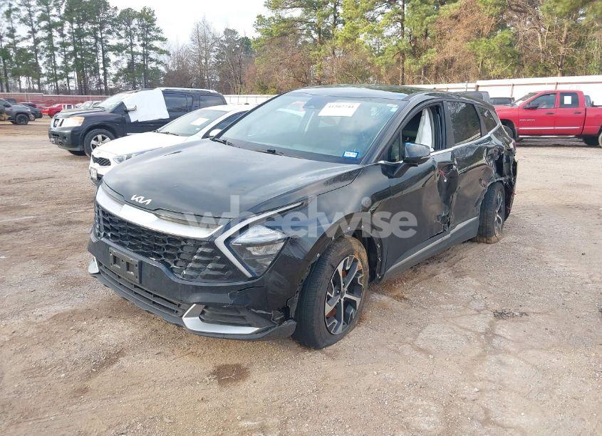 Photo 2 of 2023 Kia Sportage EX (VIN 5XYK33AF5PG061305)