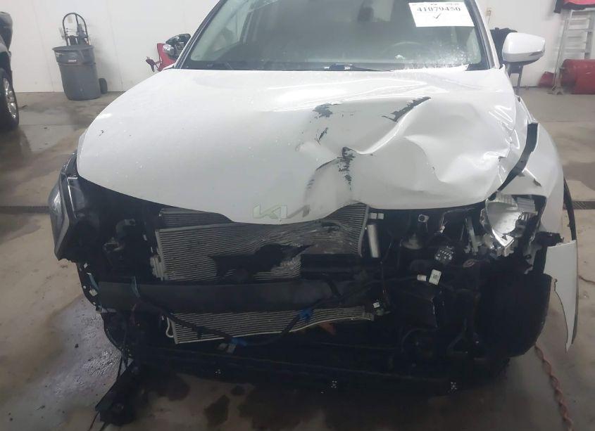 Photo 6 of 2023 Kia Sportage EX (VIN 5XYK33AF6PG052919)