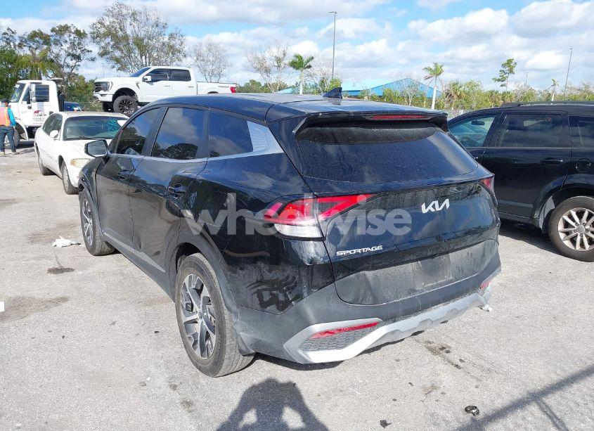 Photo 12 of 2023 Kia Sportage (VIN 5XYK33AF6PG129885)