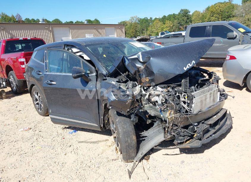 2023 Kia Sportage EX (VIN 5XYK33AF6PG133063) main photo