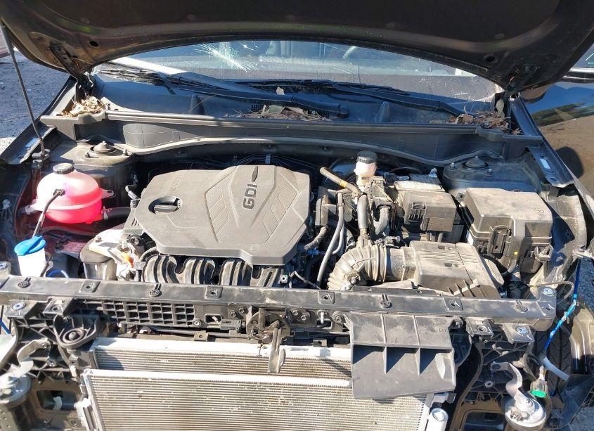 Photo 10 of 2023 Kia Sportage EX (VIN 5XYK33AF7PG085718)