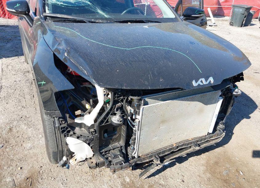 Photo 6 of 2023 Kia Sportage EX (VIN 5XYK33AF7PG085718)