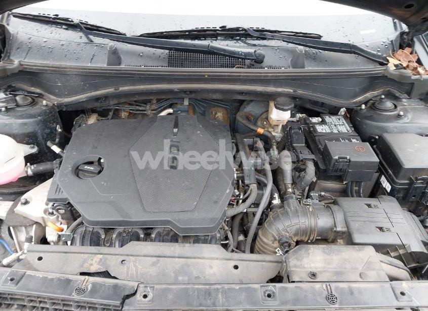 Photo 10 of 2023 Kia Sportage EX (VIN 5XYK33AF7PG104560)