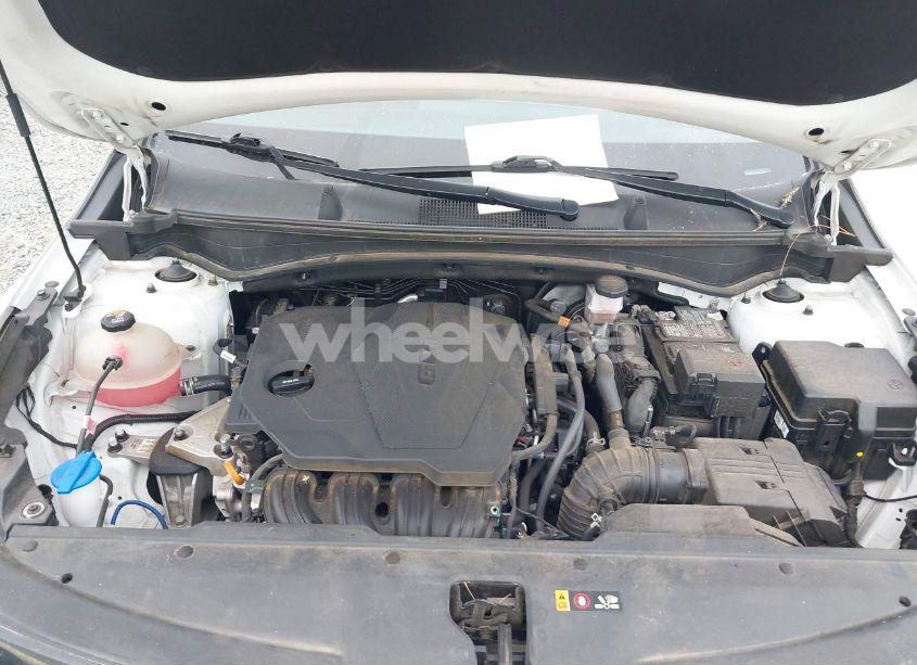 Photo 10 of 2023 Kia Sportage EX (VIN 5XYK33AF9PG042756)