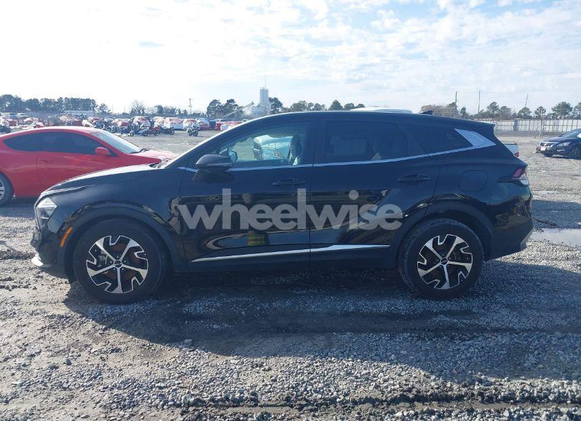 Photo 14 of 2023 Kia Sportage EX (VIN 5XYK33AF9PG069942)